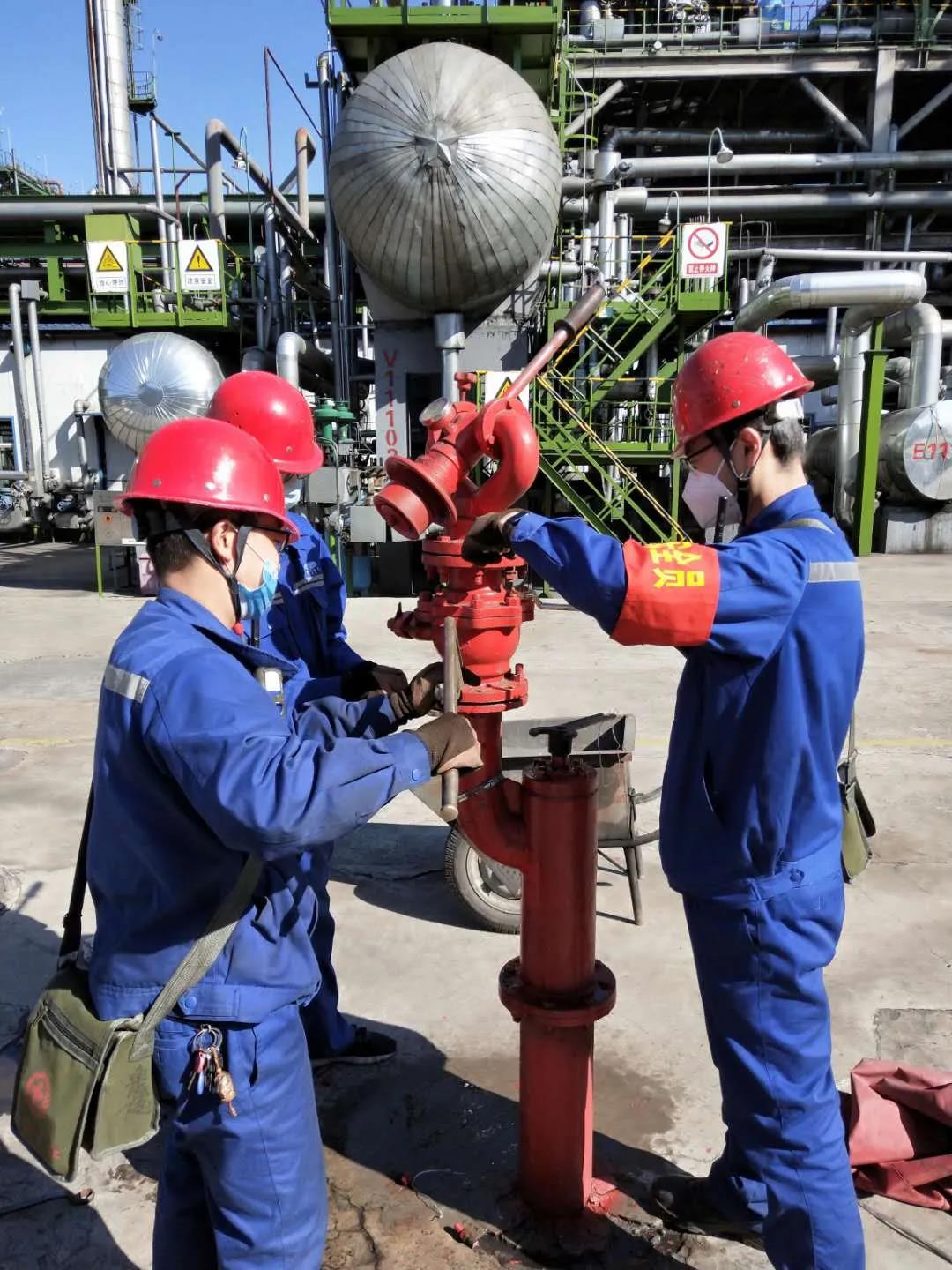 1588297926112249.jpeg 3.jpg