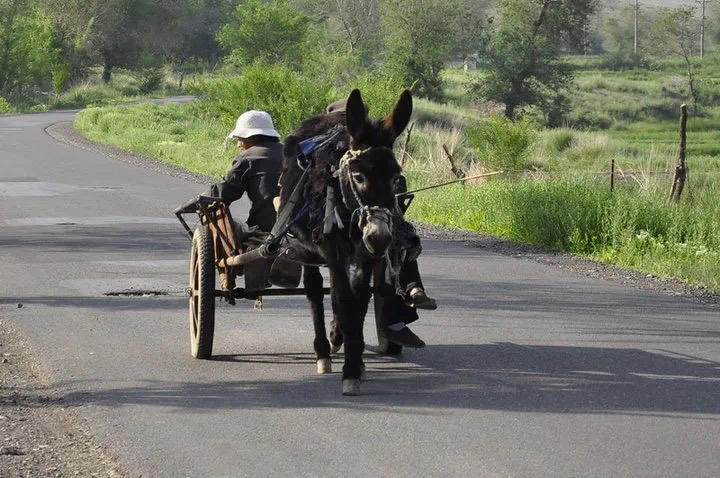 1592467431421409.jpeg 1592467431421409.jpeg