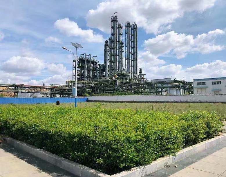 1607067402282882.jpeg 1607067402282882.jpeg