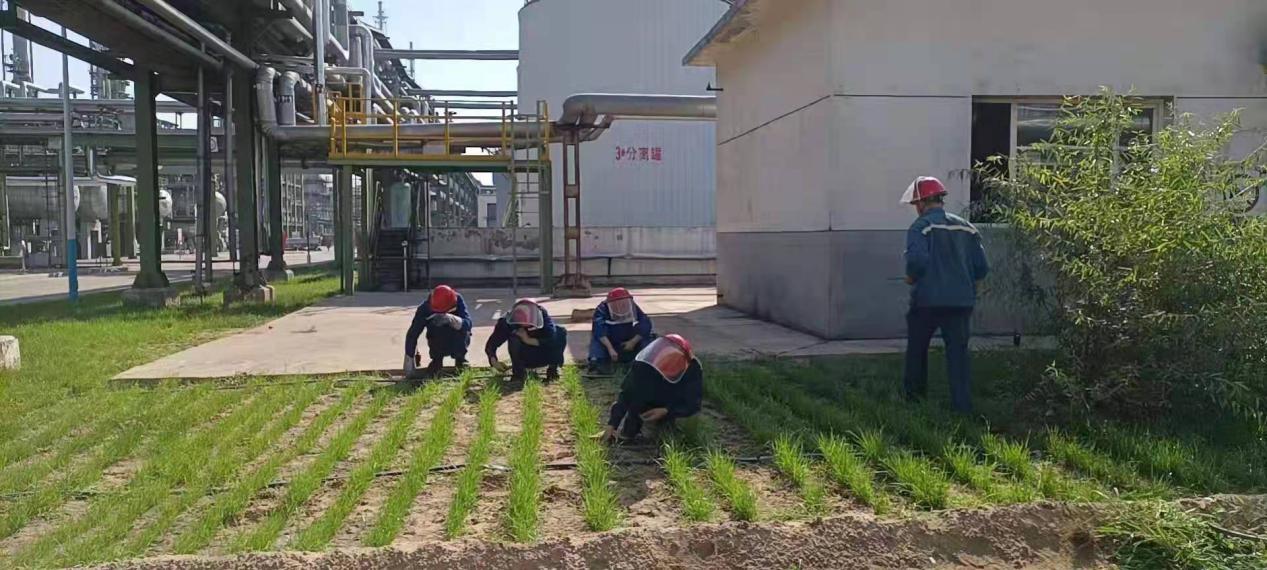 1628128659312995.jpeg 01詩(shī)歌.jpg