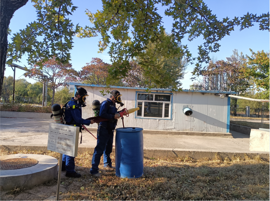 1665621119376061.png 55.png