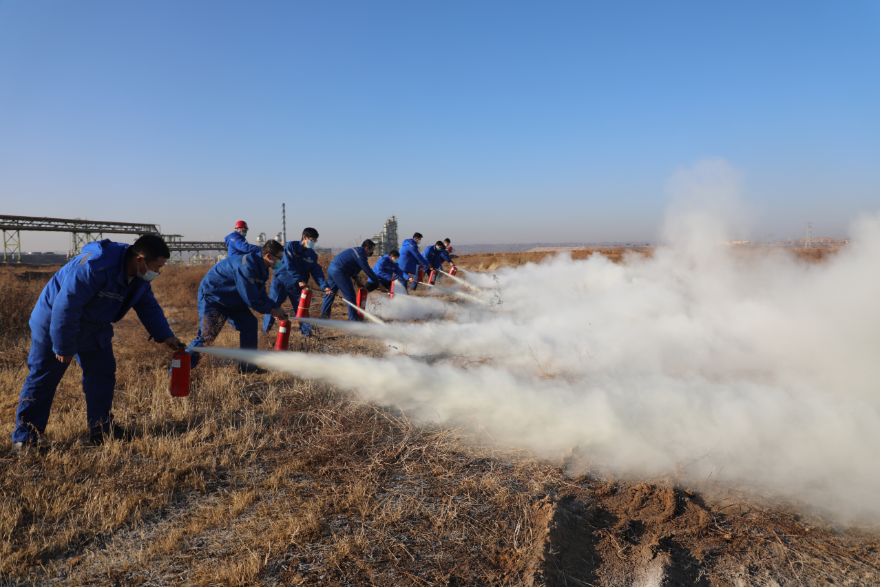 1668556602222828.png 33.png