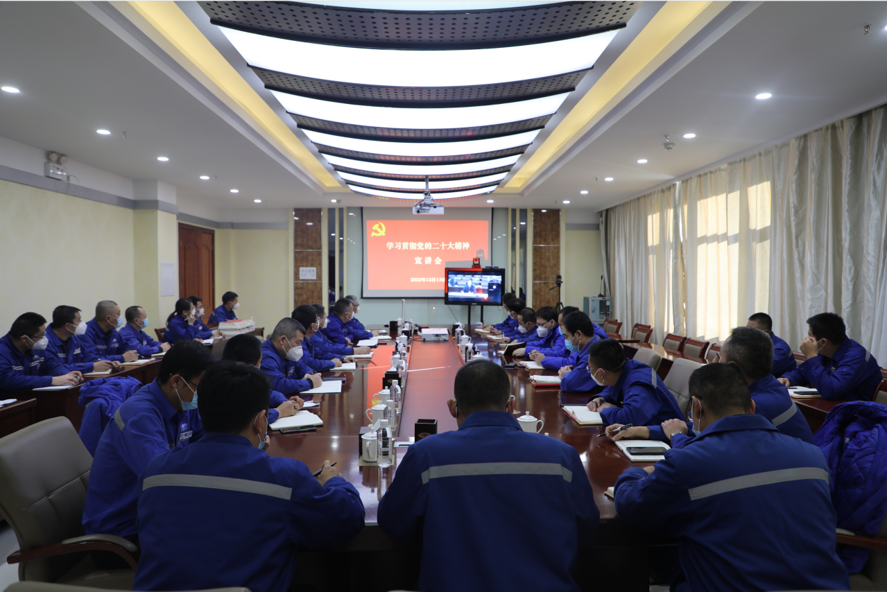 1671000931368829.png 11.png