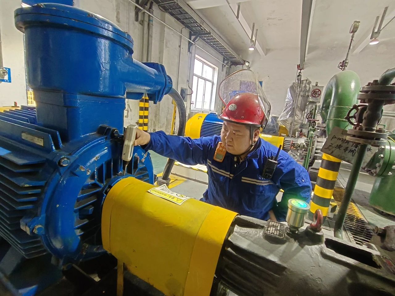 1741652278160582.jpeg 2.jpg