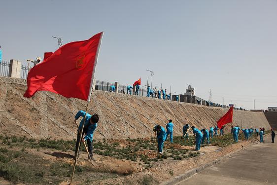 植樹活動(dòng)現(xiàn)場(chǎng) 植樹活動(dòng)現(xiàn)場(chǎng)